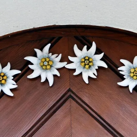 Mittagspitze Apartamento *